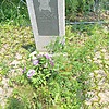 Подгорный Борис Иванович