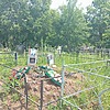 Лукичева Татьяна Николаевна