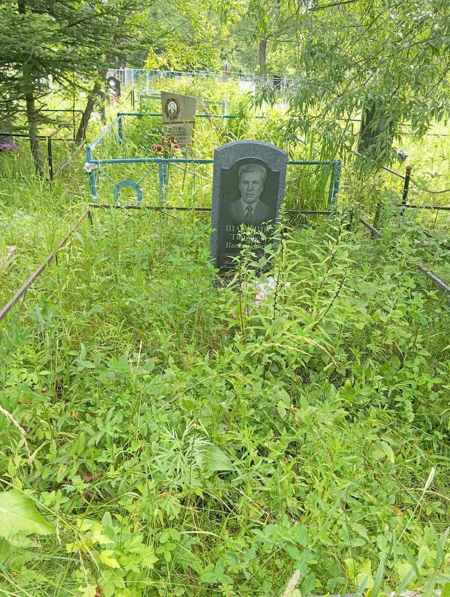 9d9138fd-6a24-428e-b4ae-0c4ada345402 Шабалин Тимофей Васильевич