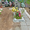 Виль Альберт Самойлович