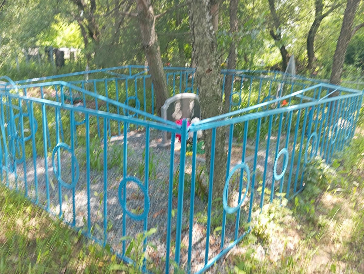 a32bd3cb-b3cc-4b2b-93c9-7ea3634939fe Кашина Клавдия Ильинична