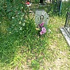 Калашников Андрей Александрович