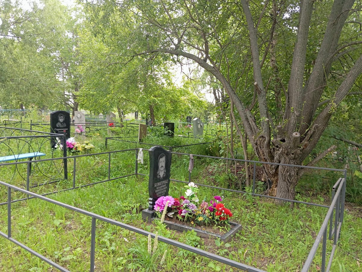 a4249115-b818-4602-bee3-1b5c0b1502de Безматерных Владимир Николаевич