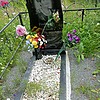 Поморцева Юлия Егоровна