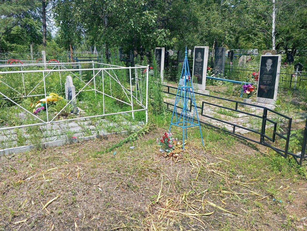 adb8b225-ba16-41d1-9e8a-6e1cbdee9a58 Платонов Николай Сергеевич