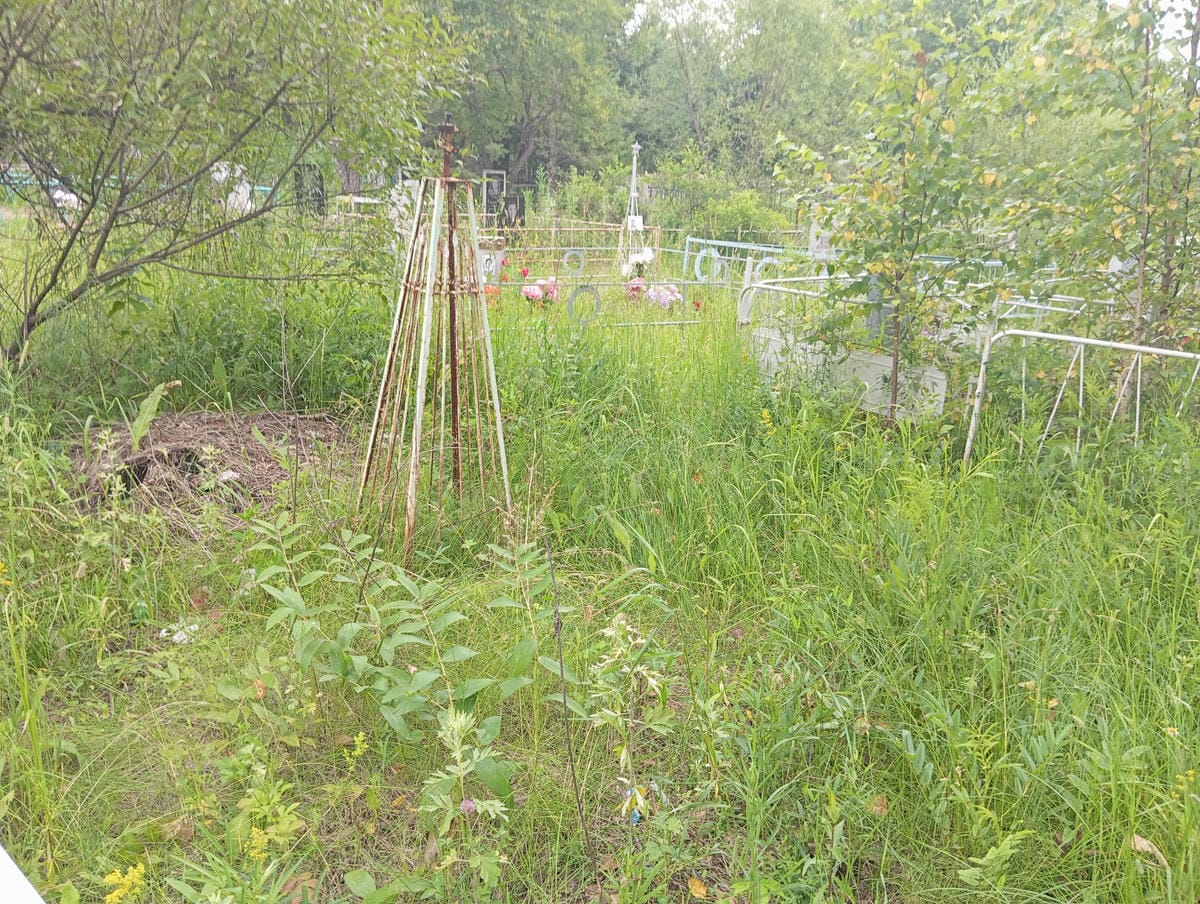 adefbdca-430e-4dda-96d5-b46aa6f951a9 Неизвестно Неизвестно Неизвестно