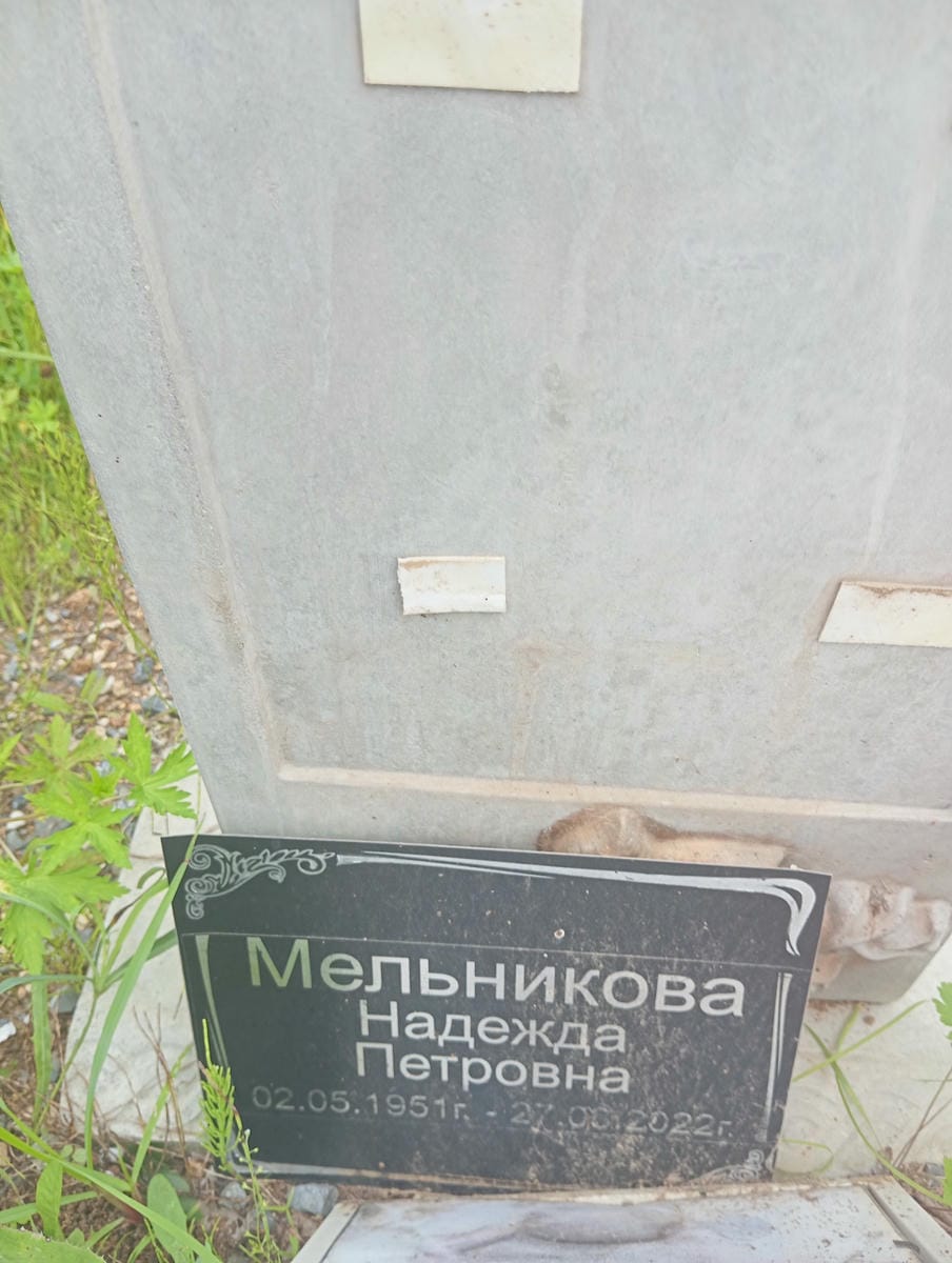 afcdb390-39d1-4914-8cf1-56033041ecc1 Мельникова Надежда Петровна