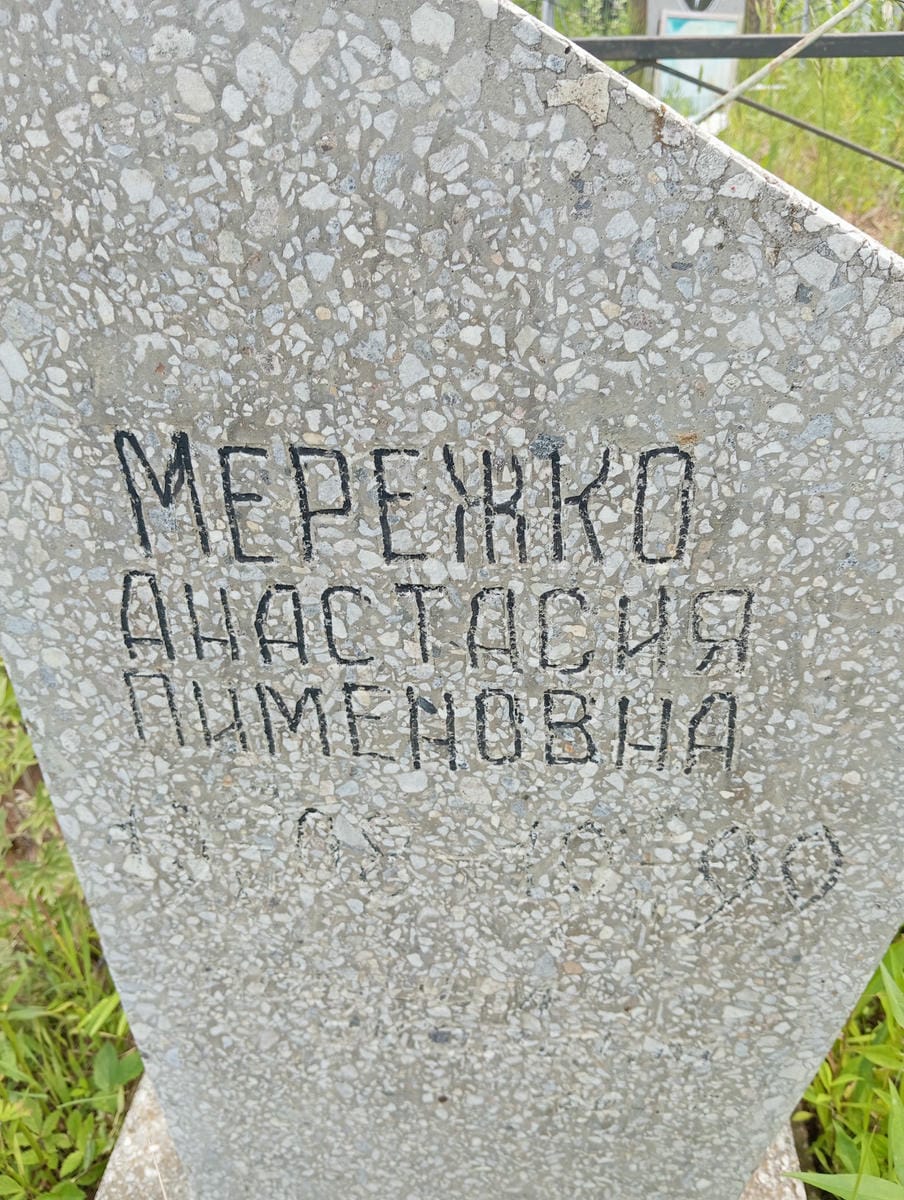 b0c83058-d16a-4d19-8345-430a0136a5ec Мережко Анастасия Пименовна