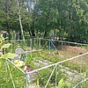 Домышев Василий Владимирович