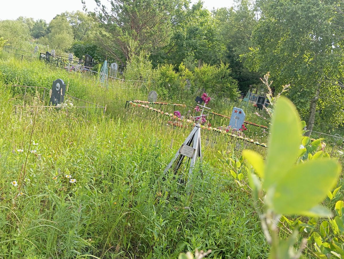 b3c19cfa-909c-4402-a708-f05b92b10d4b Степаненко Вера Михайловна