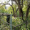 Стефанович Галина Архиповна