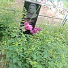 Головин Иван Фомич