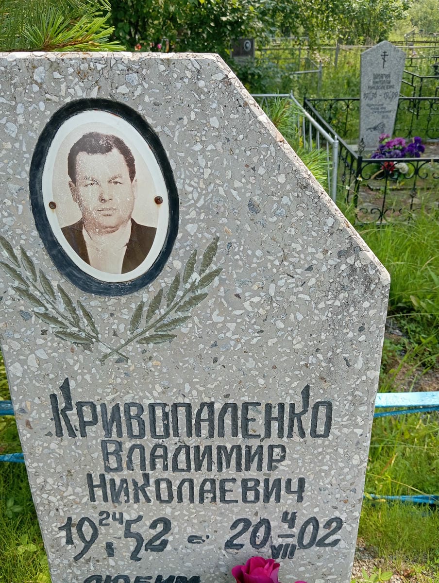 b959944d-9021-42ef-a121-939f85bb53f1 Кривопаленко Владимир Николаевич