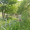Митченко Мария Васильевна