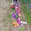 Солдатов Николай Александрович