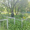 Бабич Мария Николаевна