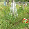 Евдокимова Любовь Антоновна