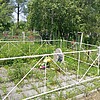 Домышев Василий Владимирович