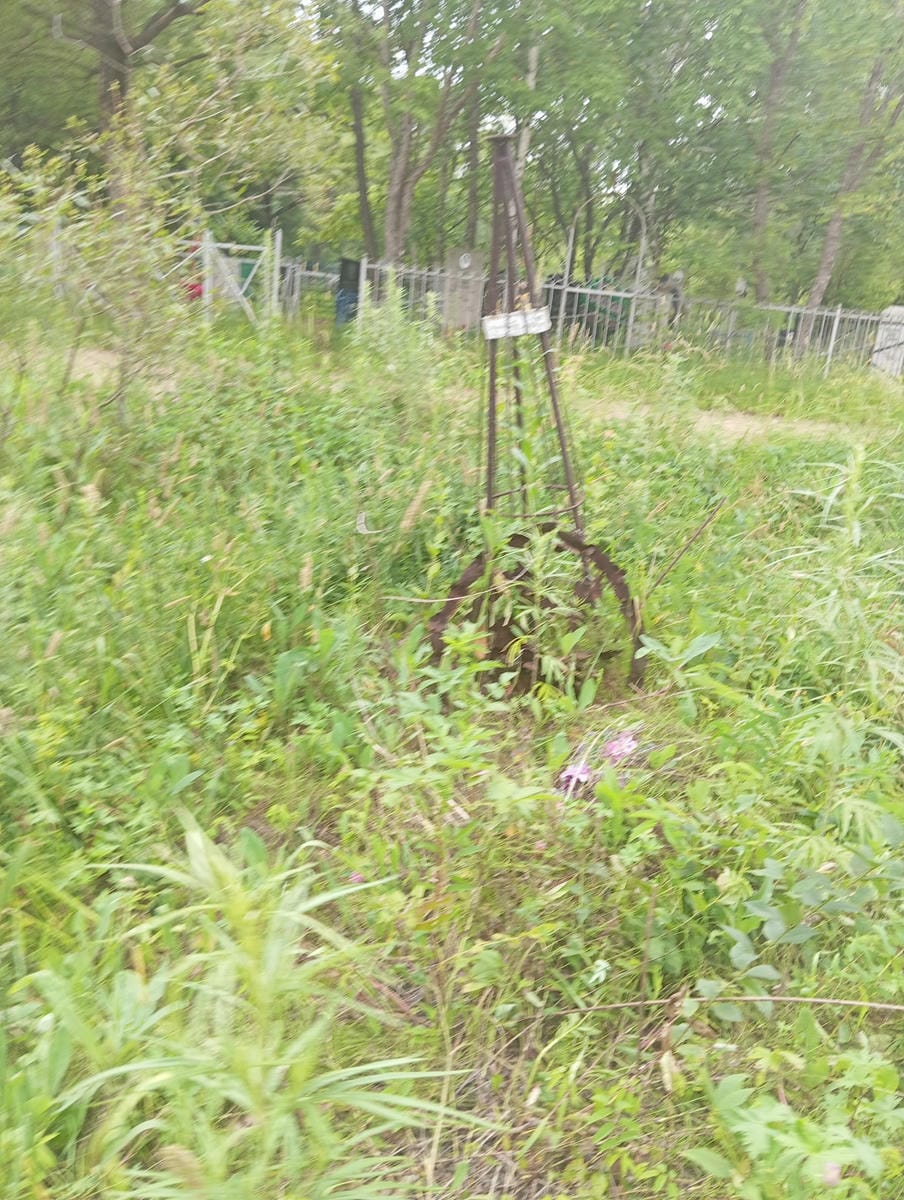 c5459492-a7f6-4236-8f4a-27ba61bdd307 Мережко Ефросиния Неизвестно