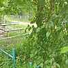 Корнейчук Анатолий Владимирович