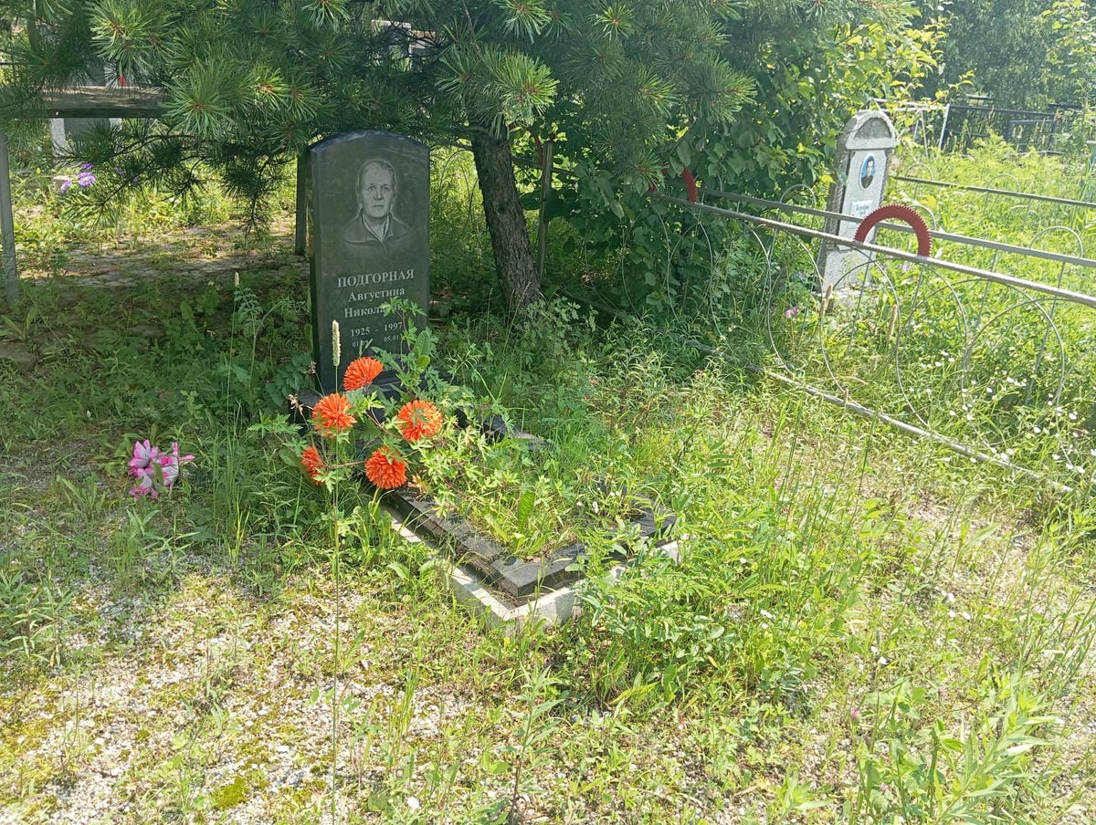 c826f339-1525-4bad-9be0-ba1c38932594 Подгорная Августина Николаевна