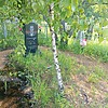Кривощапов Николай Иванович
