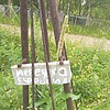 Мережко Ефросиния Неизвестно
