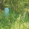 Рыбачек Анатолий Давыдович