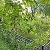 Кондрева Александра Федоровна
