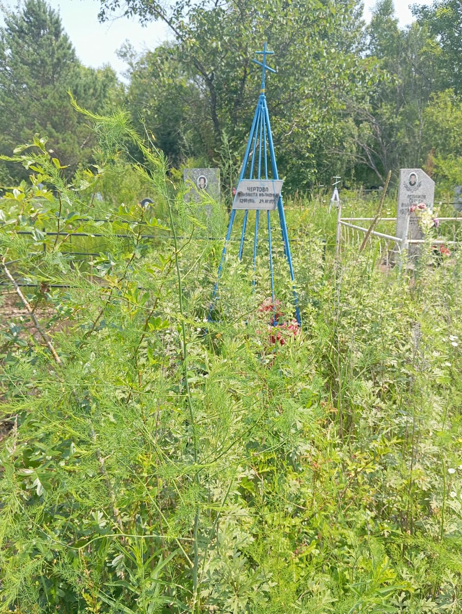 Чертова Елизавета Ивановна