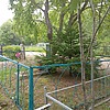 Бронников Эрий Прокопьевич