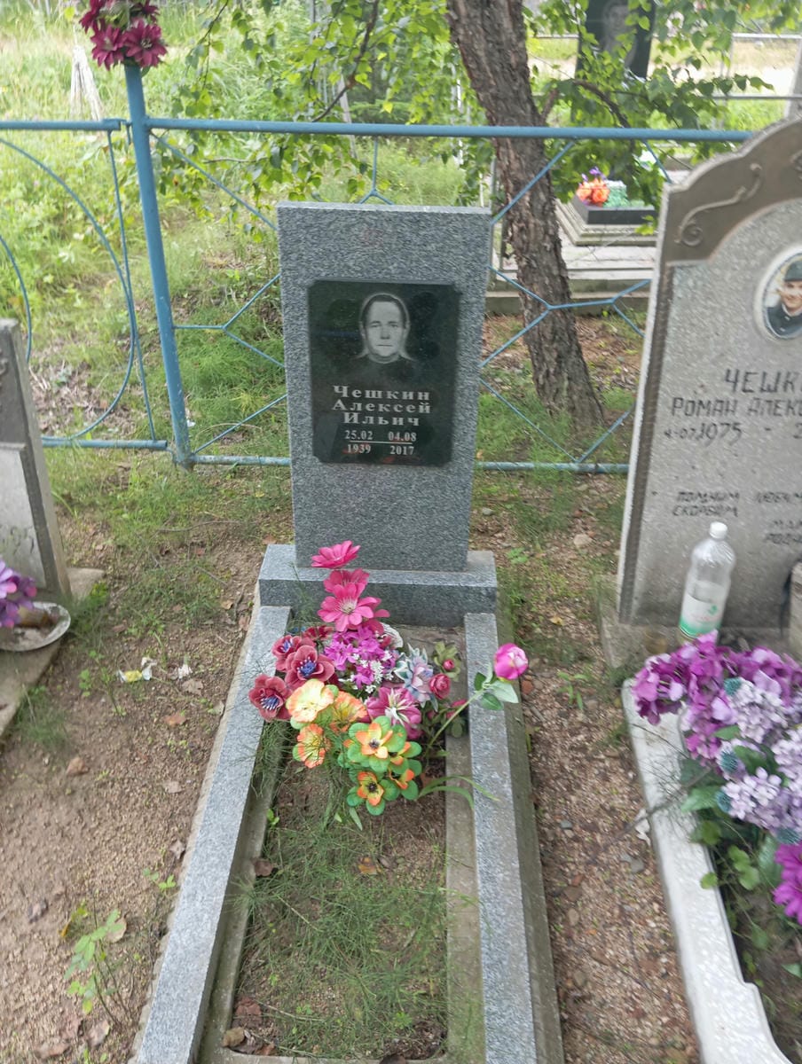 d5099cfa-d879-4c41-969c-4c6e1259ca45 Чешкин Алексей Ильич