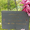 Артеменко Сергей Алексеевич