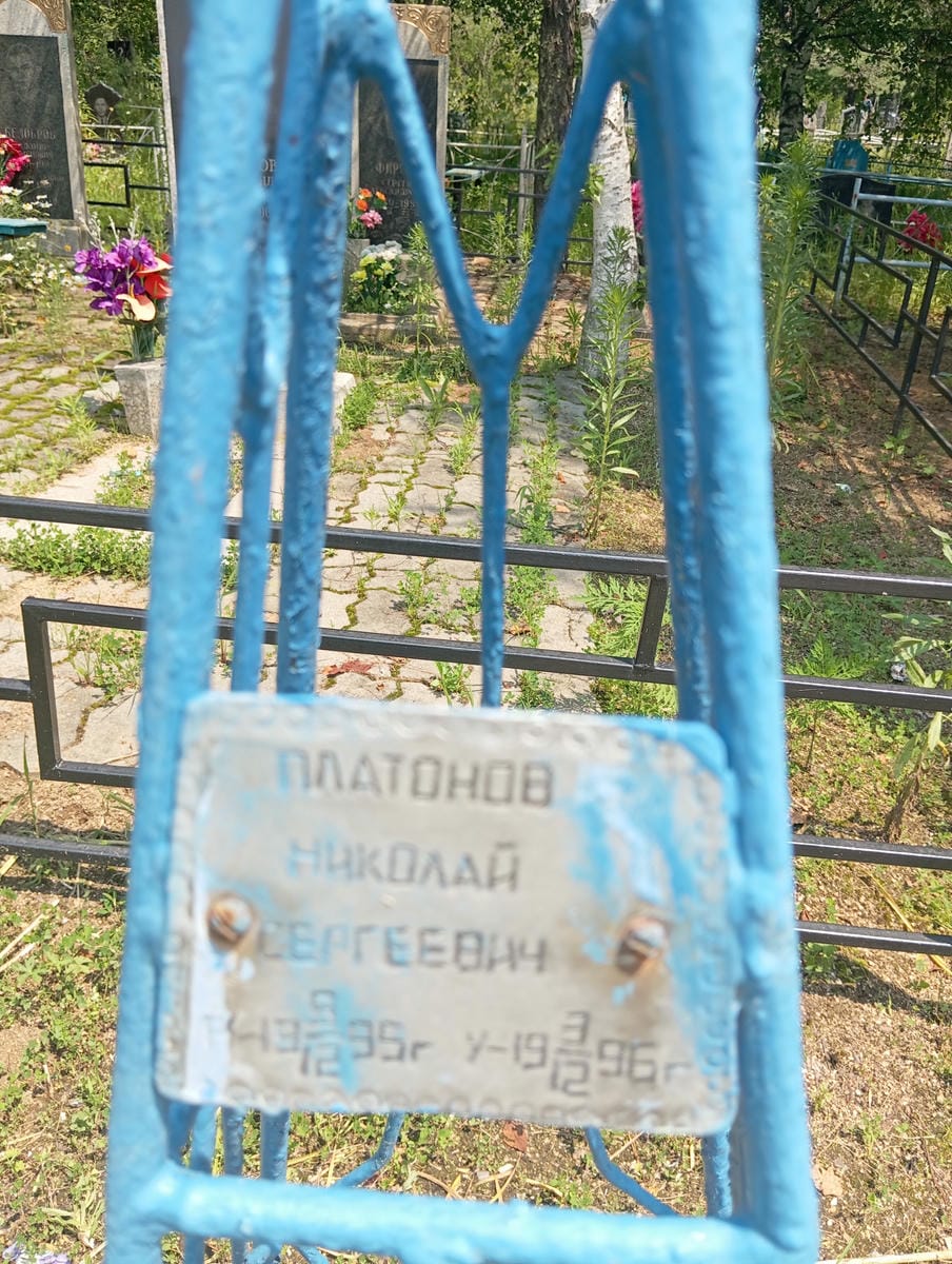 d6803fcb-d297-4536-bb63-2da5fae117e2 Платонов Николай Сергеевич