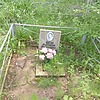 Фисун Анастасия Михайловна
