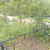 Глызина Елена Васильевна
