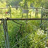 Мищенко Татьяна Васильевна