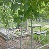 Картавая Матрена Ефимовна
