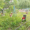 Мацало Антонина Яковлевна
