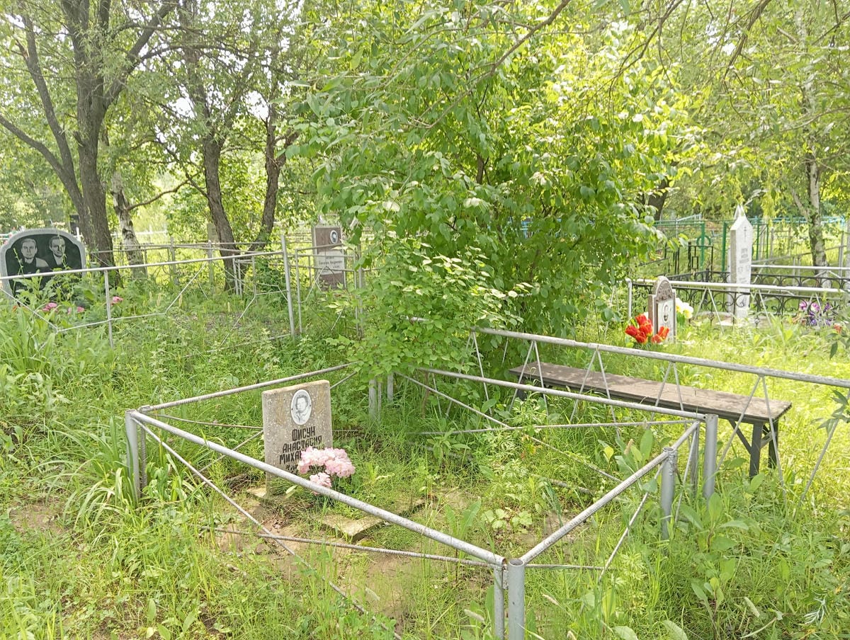 de78f62e-18a0-4c8e-bb1e-e67bafcf3ccb Фисун Анастасия Михайловна