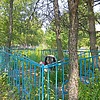 Кашина Клавдия Ильинична