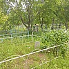 Бородай Анна Константиновна