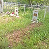 Подлеснов Николай Александрович