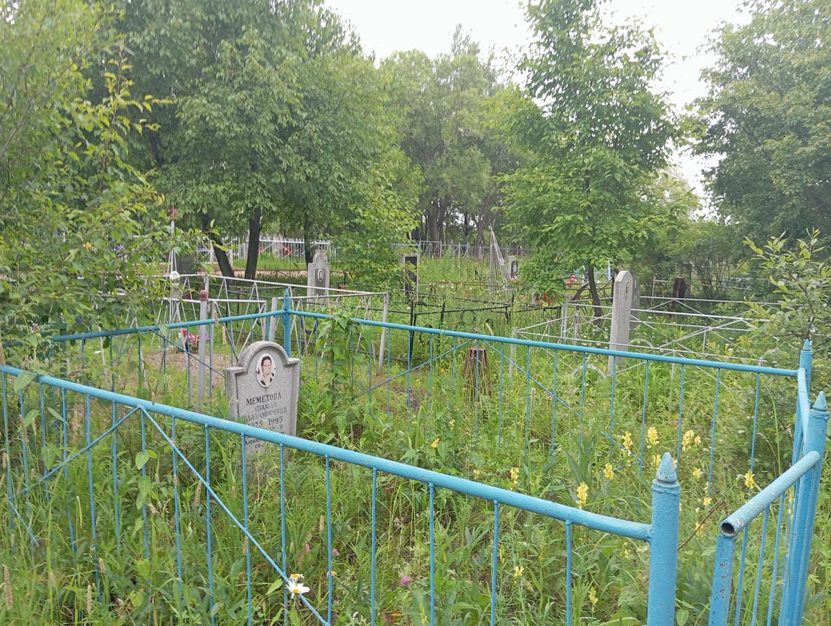 e2ccf1e6-2b96-471c-bb35-c67f98691058 Меметова Фаина Владимировна