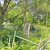 Прохорова Александра Николаевна