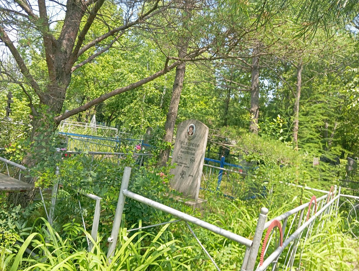 e64cd656-ea03-444e-bcbd-09b0e4e8ddbf Прохорова Александра Николаевна