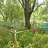 Тихонов Александр Васильевич