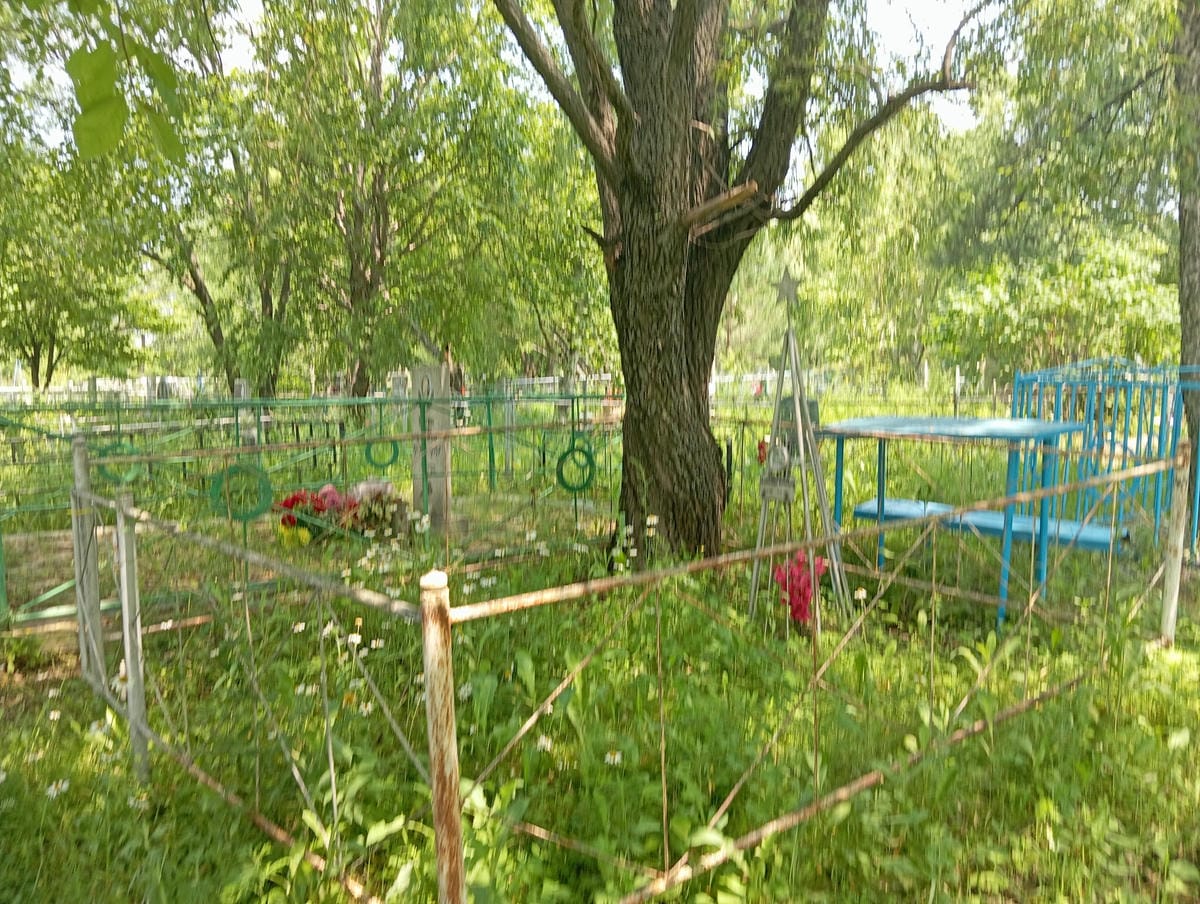 e6677125-ca87-400c-a619-f8b4388d749d Тихонов Александр Васильевич