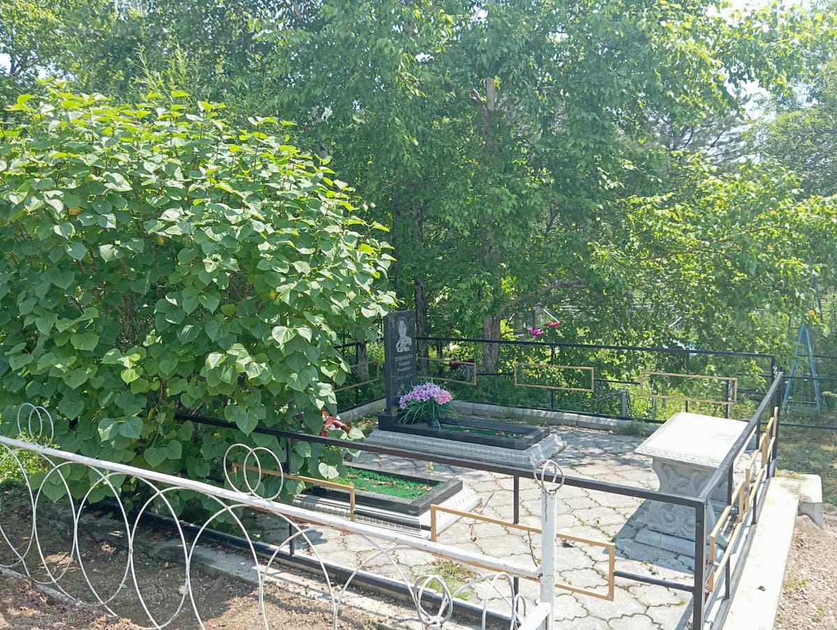 e9c135a3-42d6-4d66-aa77-09f494fa5459 Колокольчиков Лев Николаевич