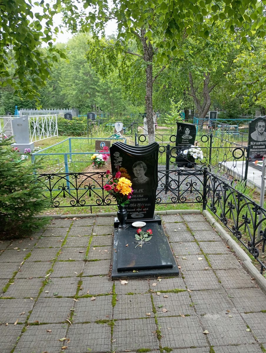 e9ee170a-b516-4276-8ad9-88c196caa43e Ермак Наталья Анатольевна
